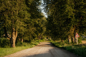 Fototapeta premium Rural dirt road lined with tall green trees and warning traffic sign, countryside pathway in warm evening light, scenic travel background for relaxation, rustic lifestyle, outdoor exploration