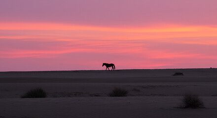 Fototapeta premium Majestic horse silhouette against a vibrant pink and orange desert sunset.