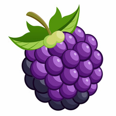 Cartoon blackberry with stem and leaves. whole. single. and in a close up view. Fruit food illustration of a blackberry with a detailed style. in a bright. isolated white background.