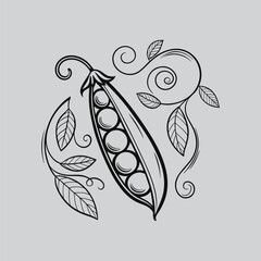 Sweet Pea Bellflower Contour Drawing