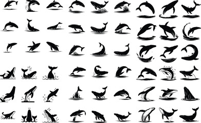 Whale Jumping from Ocean Silhouette – Marine Icon Set Breaching Whale Silhouette – Powerful Ocean Animal Icon