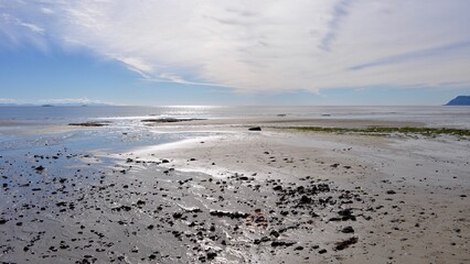 Icelandic Beach