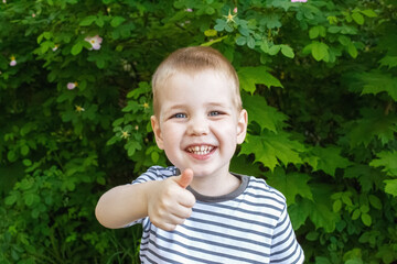 Portrait of a happy smiling child in a nature park. Gestures.