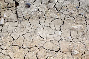Background of dried and cracked mud