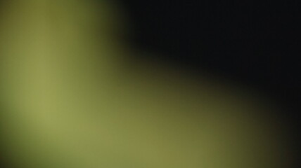 Minimalist Noise Green Gradient Background