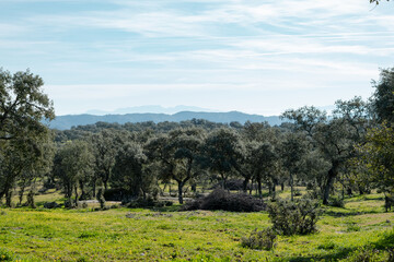 Obraz premium Mediterranean landscape with different depths of mountain ranges on the horizon under a cloudy blue sky