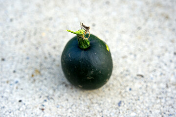 High angle view of organic vegetable gem squash against concrete background outdoors at terrace on a summer evening. Photo taken August 8th, 2025, Zurich, Switzerland.