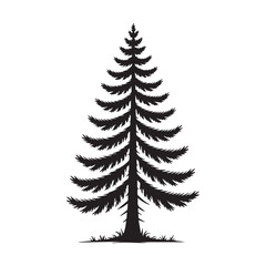 Fototapeta premium Pine tree, isolated on white background