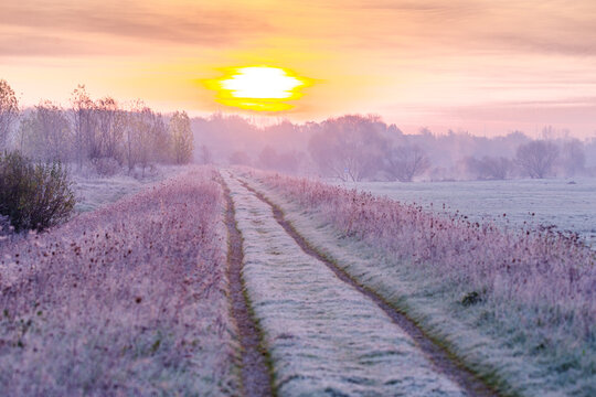 Fototapeta mroźny wschód słońca wśród mgieł poranka 