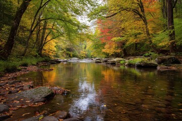 Obraz premium Quiet river meandering through autumn forest with vivid leaf colors.