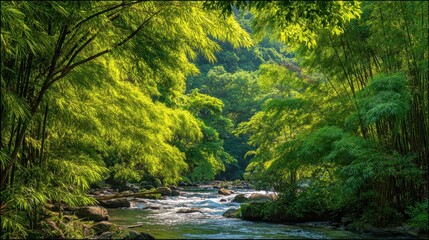 Obraz premium Lush Green Forest by a Clear Flowing Stream in Bright Daylight