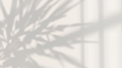 Photo of abstract shadow of plant branches on a white wall creating a natural and minimal textured background