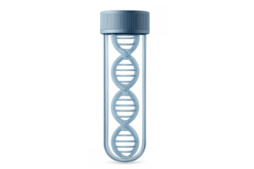 Dna double helix inside test tube on transparent background
