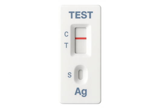 Positive antigen rapid diagnostic test showing a red line on transparent background