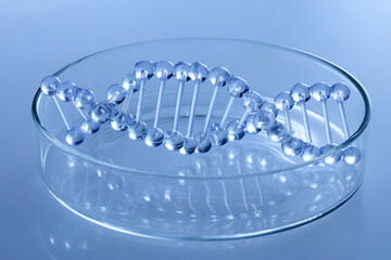 Abstract cosmetic laboratory. Chemical laboratory research. Cosmetic Essence. DNA Model in Petri Dish.