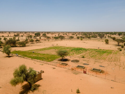 Aerial view of cultivated plots of land, contrasting with the arid landscape under a vast sky, Khol Khol, Louga Region, Senegal.