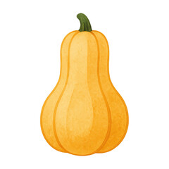 PNG Vibrant squash illustration design.