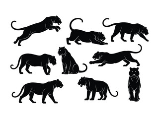 Majestic Panther Collection: A striking collection of sleek, black panther silhouettes in various poses. Displaying power and grace, capturing the essence of the wild. 