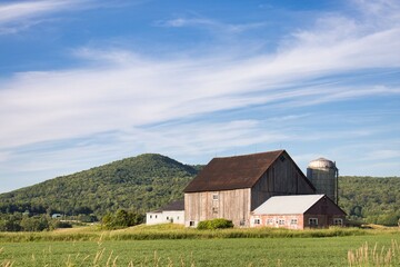 A rustic barn and silo sit in a lush green field beneath a blue sky