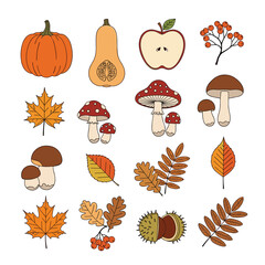 Autumn harvest seasonal harvest vegetables fruits leaves mushrooms and berries illustration