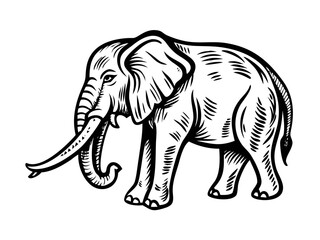 Fototapeta premium An elephant animal woodcut vintage style icon mascot illustration