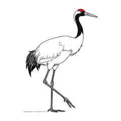crane, minimalistic linear drawing, simple black and white contour illustration, vector, isolated, clean design, modern minimal contour sketch for posters, prints and decor
