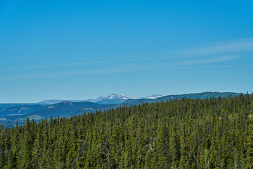 sunset over Nordic wilderness with endless boreal forest.