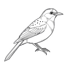 goldfinch, minimalistic line drawing, simple black and white contour illustration, vector, isolated, clean design, modern minimal contour sketch for posters, prints and decor