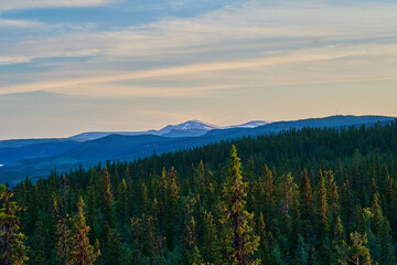 sunset over Nordic wilderness with endless boreal forest.