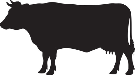 Cow silhouette image white backgrpound.