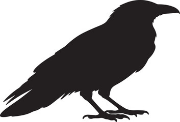Crow with style in silhouette image white backgrpound.