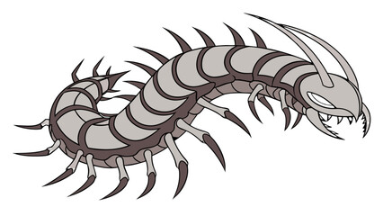 Illustration of a stylized centipede with gray segmented body and sharp claws on a white background
