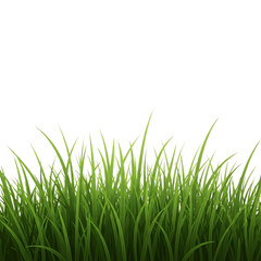 Vibrant green grass blades growing upwards against a stark black background