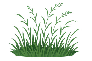 Fototapeta premium Green grass growing on transparent background for easy compositing