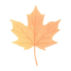 PNG Autumn maple leaf illustration