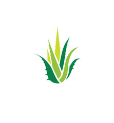 Aloe vera logo icon vactor image.eps