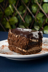 Chocolate Cake with Musical Note Decoration symphony