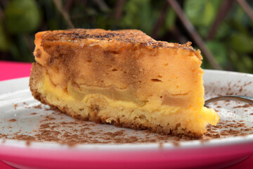 Delicious slice of apple cake with cinnamon dusting on a white plate