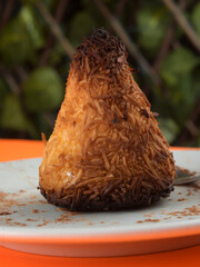 Golden Brown Coconut Macaroon on White Plate