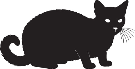  Korat cat full image in silhouette image white background.