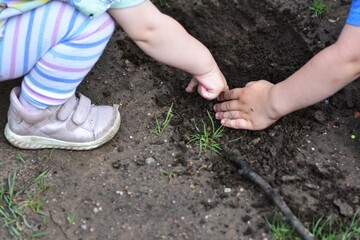 Close-up of toddler hands playing in dirt outdoors. Child in striped leggings explores soil and grass during park playtime.