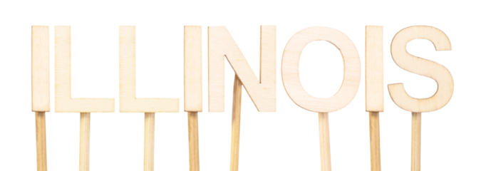The word Illinois created with wooden letters in a clear, handcrafted style, ideal for educational graphic resources or decoration inspired by the 50 US states