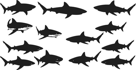Shark silhouette set with various swimming angles and poses, marine predator illustration, ocean wildlife vector, black flat aquatic animal design