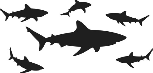 Shark silhouette set, black great white shark vector illustration, ocean predator fish icons for marine wildlife, sea animal graphic design