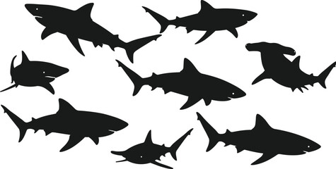 Silhouette shark collection, various shark species vector illustration, black marine predator shapes, ocean wildlife design for decoration and art