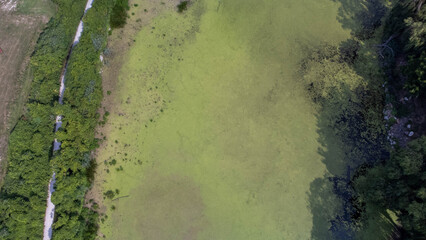 algae and duckweed covered pond aerial 