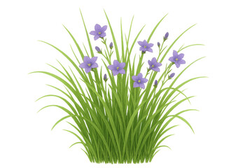Fototapeta premium Lush Green Grass with Delicate Purple Flowers on Transparent Background