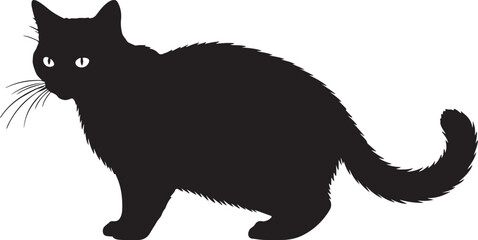 Nebelung cat full image in silhouette image white background.