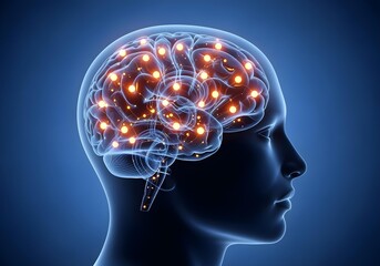 Obraz premium Transparent human head with glowing brain network nodes representing neural connections cognition and mental health