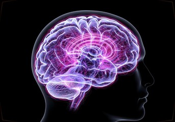 3D render of transparent human head with glowing brain and spinal cord highlighting nervous system mental health and anatomy